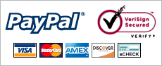 InfoComWeb Services PayPal